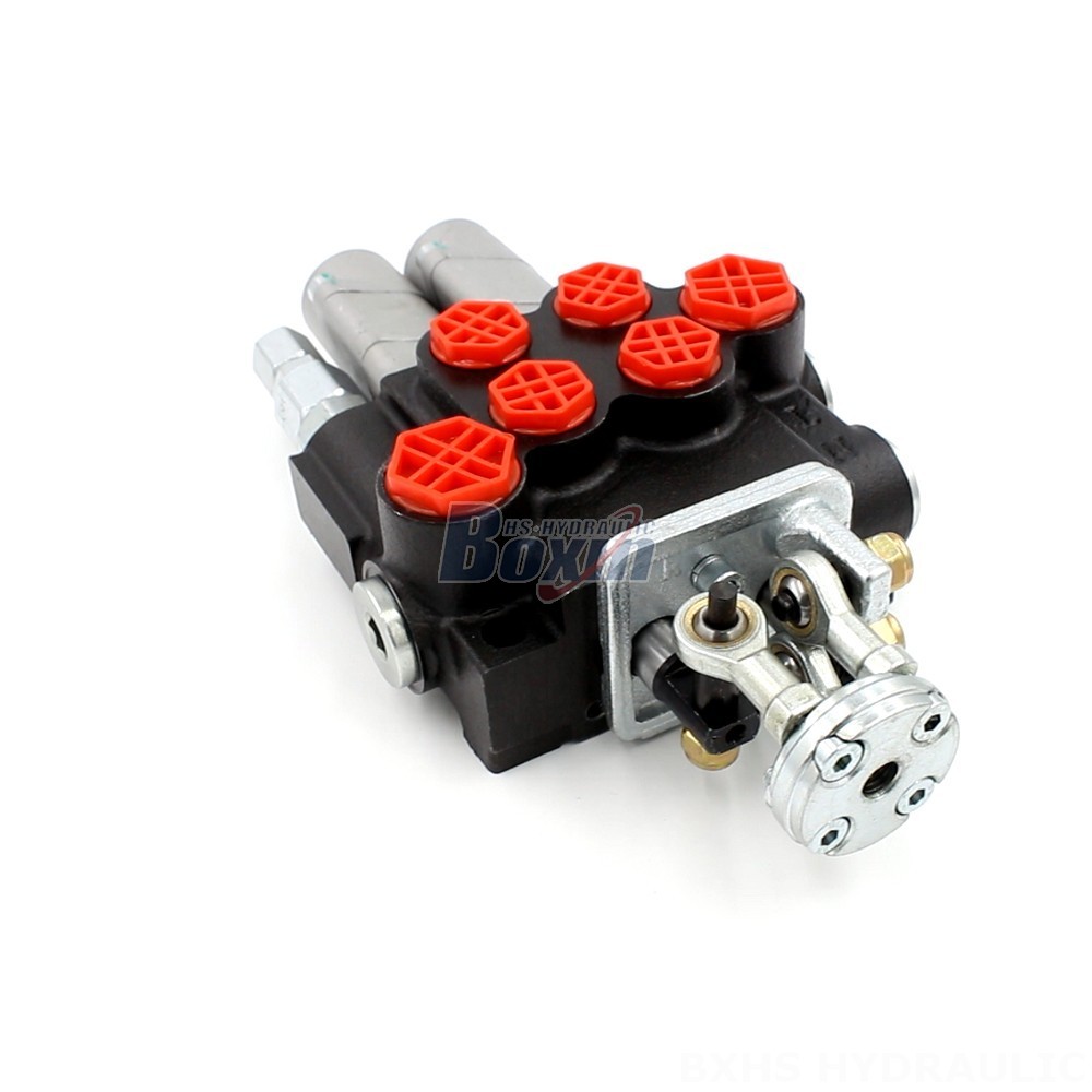 2 Spool Monoblock Directional Valve - P40 Series | OEM & Wholesale main image
